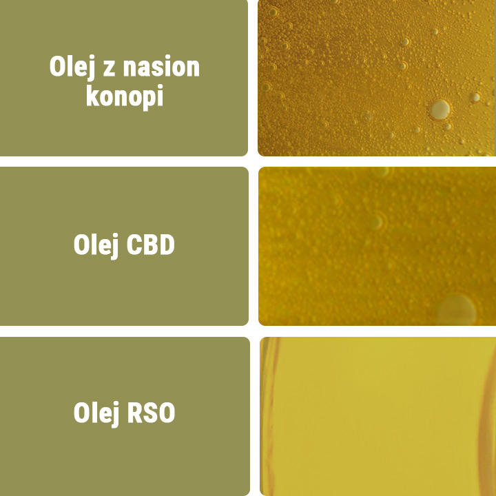 Olej CBD a inne rodzaje olejów