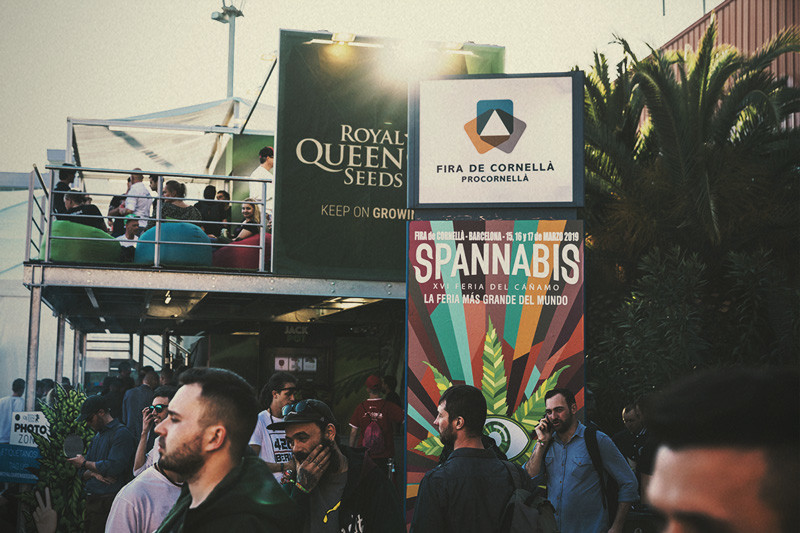 Spannabis 2019: Royal Queen Seeds najlepszym bankiem nasion!