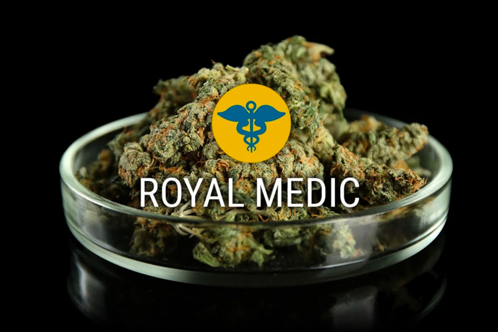 Royal Medic CBD Cannabis Seeds