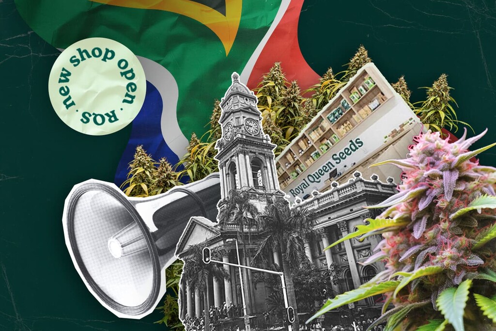 Royal Queen Seeds otwiera pierwszy sklep w Durbanie, wprowadzając najwyższej jakości nasiona marihuany do RPA