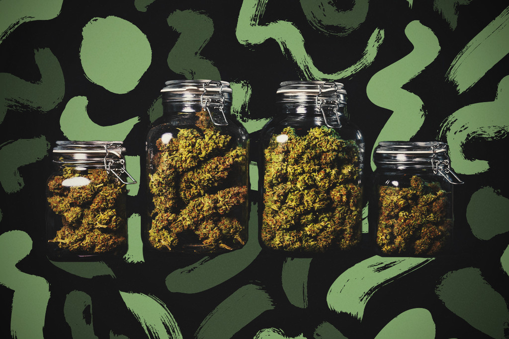 W jaki sposób konserwować pąki cannabis