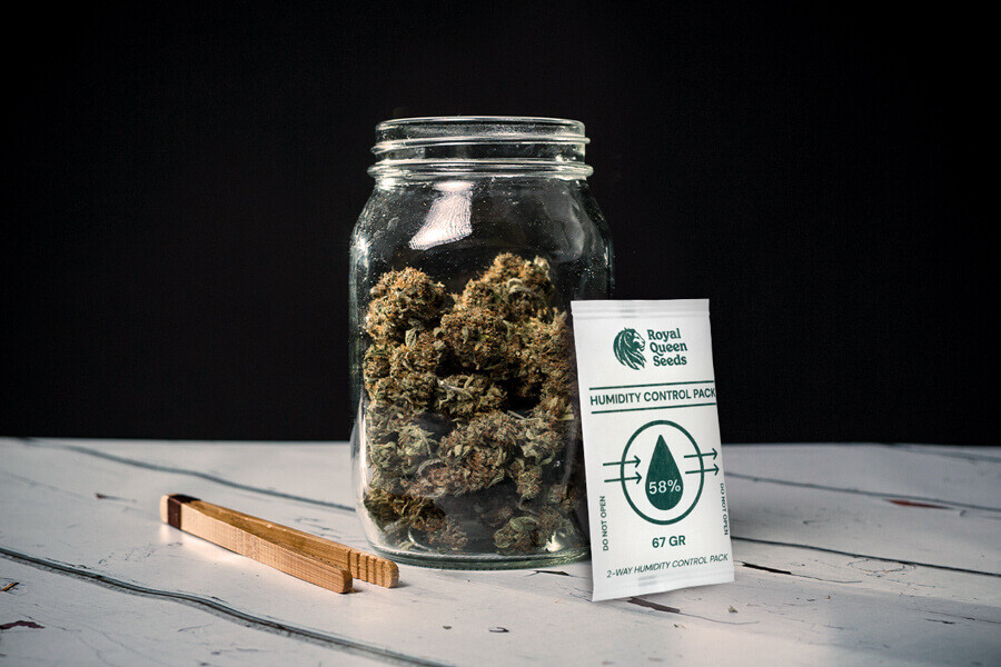 Jak uniknąć powstawania pleśni podczas suszenia i konserwacji marihuany?