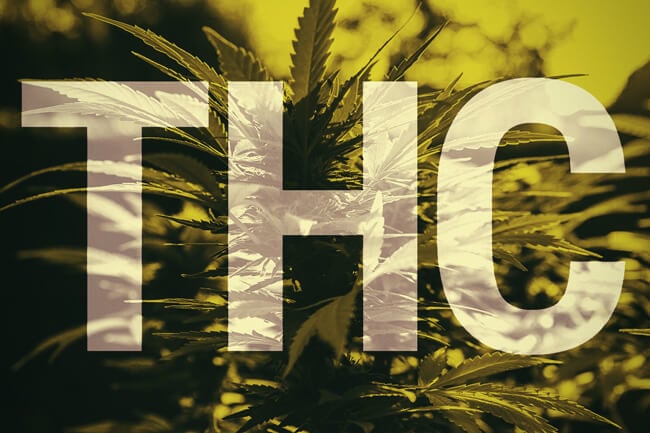 Co to jest THC?