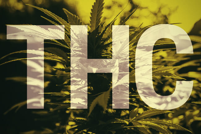 Co to jest THC?