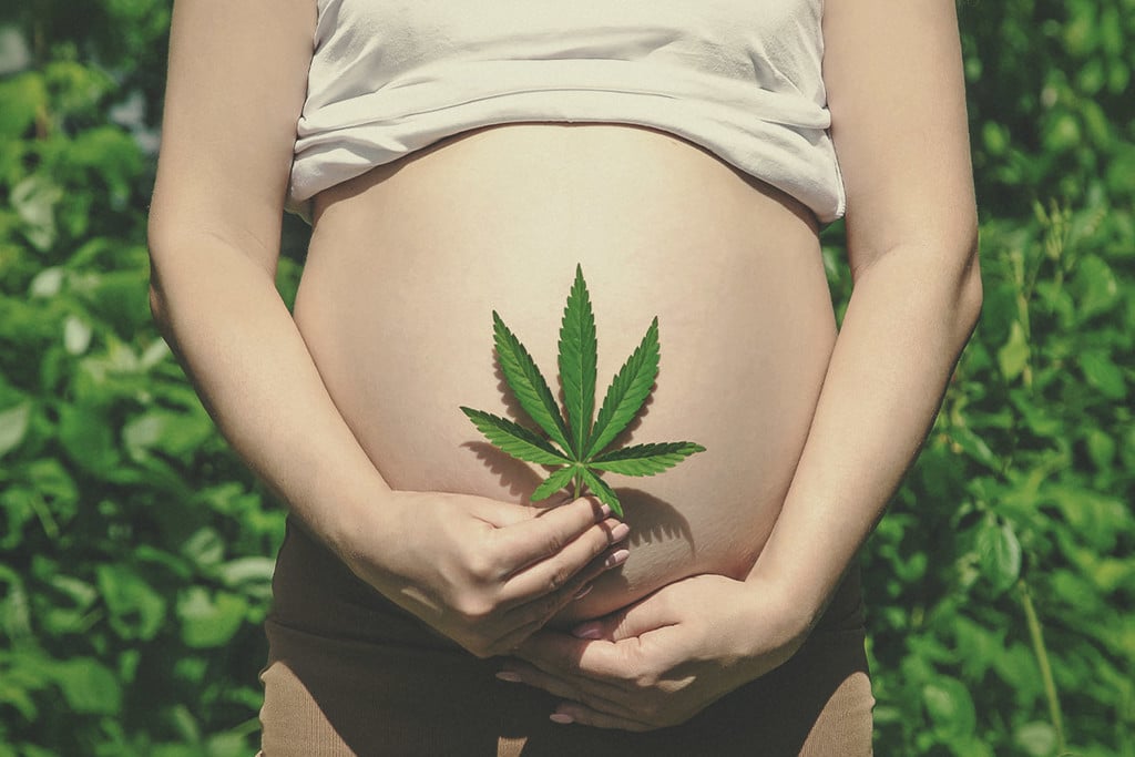 Czy palenie marihuany w ciąży może zaszkodzić Tobie lub Twojemu dziecku?