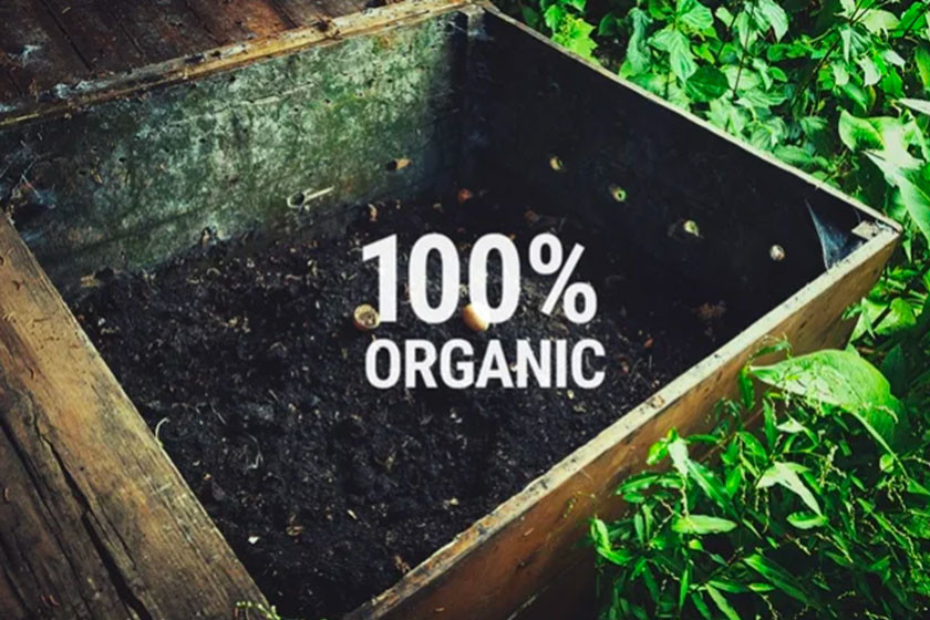 Jak i po co robić własne, organiczne nawozy