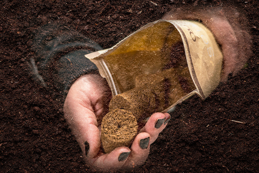 Najlepsza gleba do konopi: przewodnik dla domowych hodowców