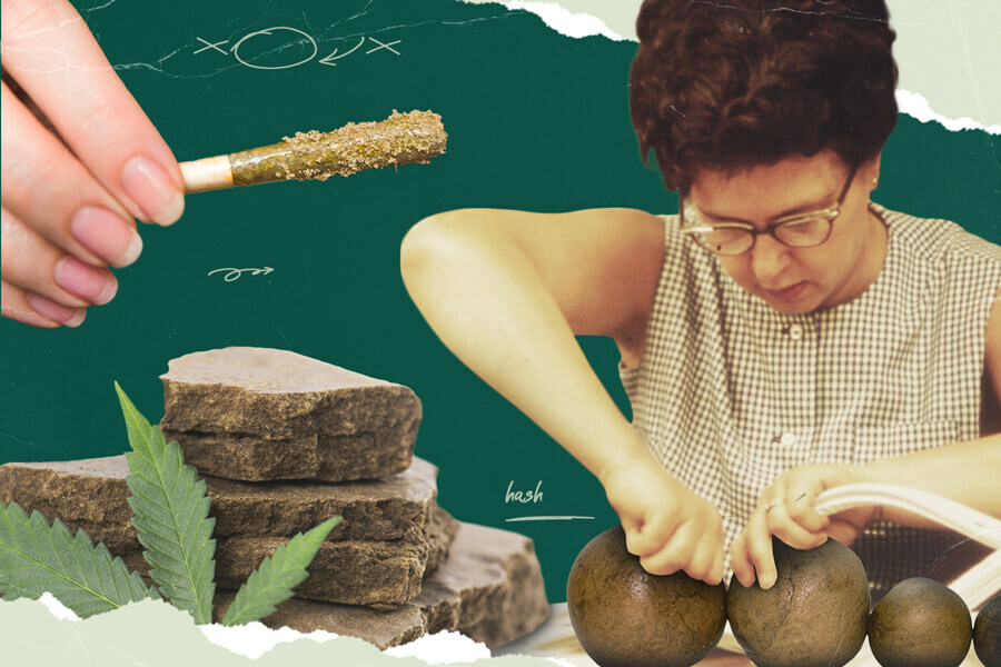 Kompletny przewodnik na temat produkcji haszyszu w domu