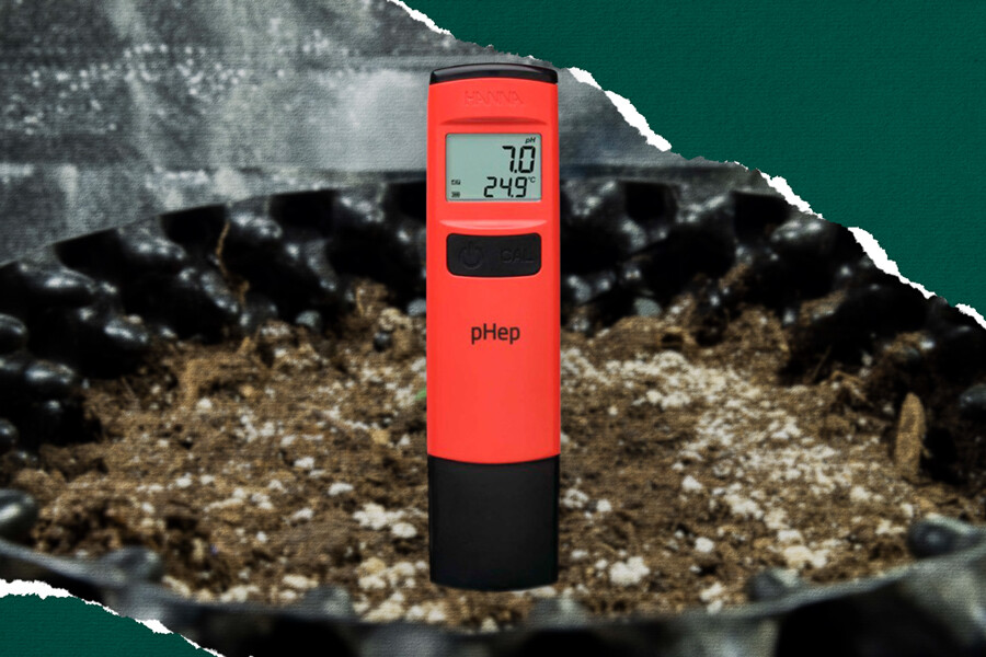 Zrozumienie pH i jego wpływu na rośliny cannabis