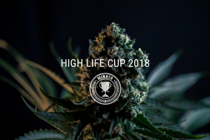 Wielki sukces Royal Queen Seeds podczas Highlife Cup 2018