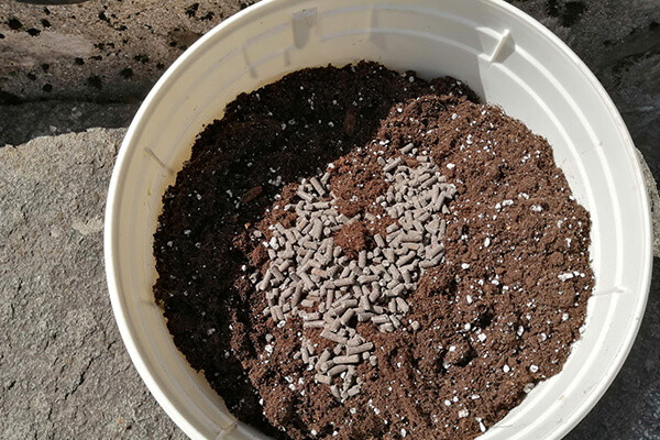 Easy Boost Organic Nutrition  