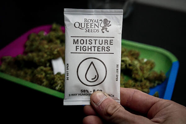 Zestaw kontroli wilgotności